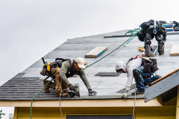 Professional Storm Damage Roof Repair technician working in Lansing, WV
